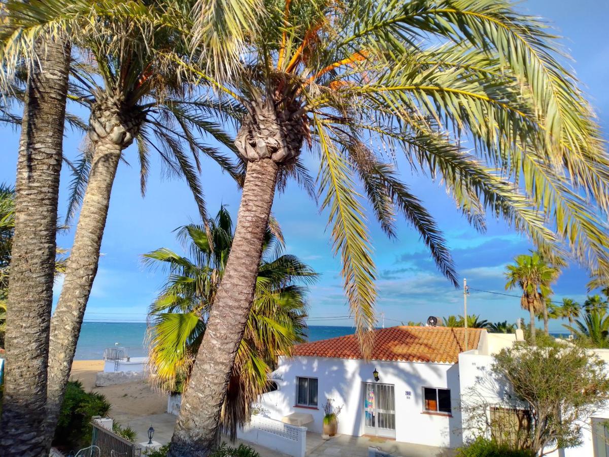 דניה Villa At Seafront With Private Garden-655 מראה חיצוני תמונה